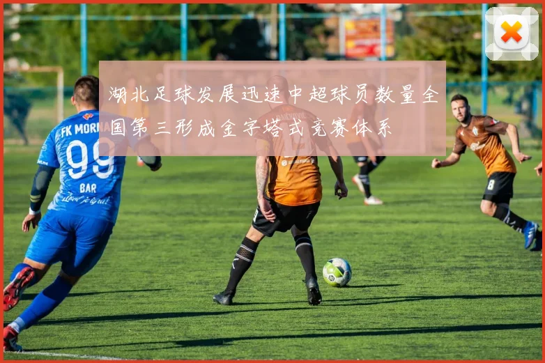 湖北足球发展迅速中超球员数量全国第三形成金字塔式竞赛体系