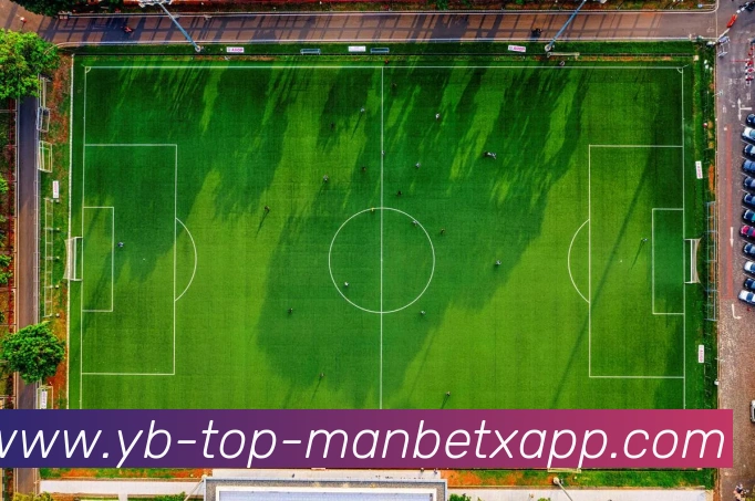 万博体育服务体系